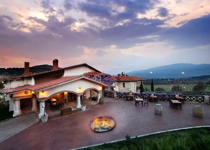 Vinifera Vineyards Hotel
