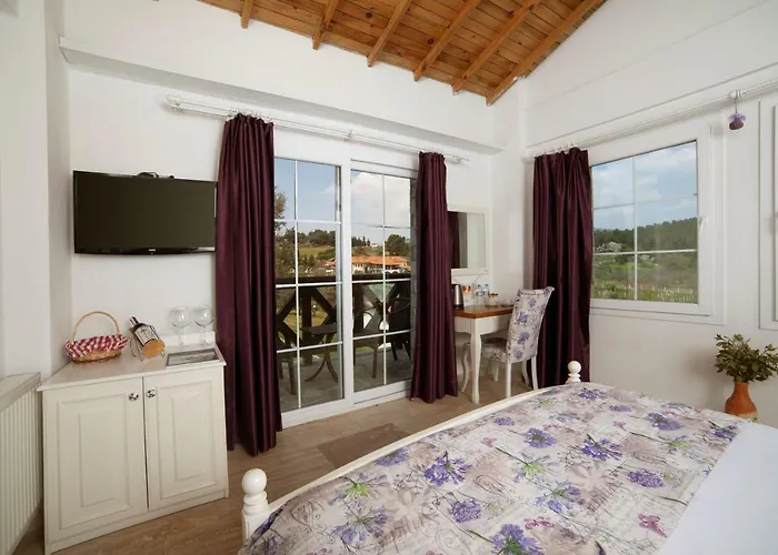 Vinifera Vineyards Hotel