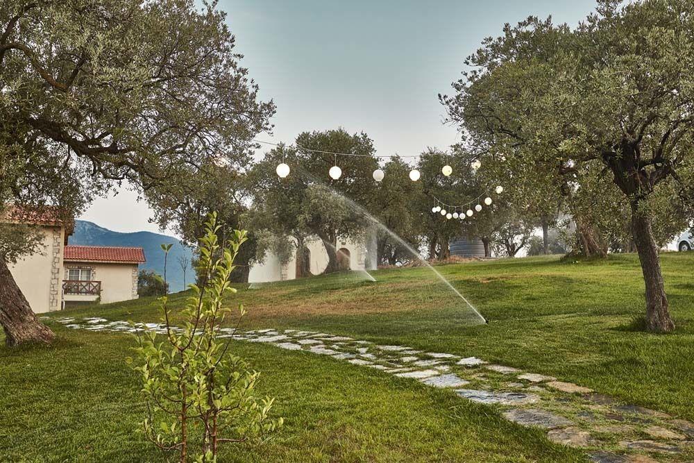 Vinifera Vineyards Сельчук