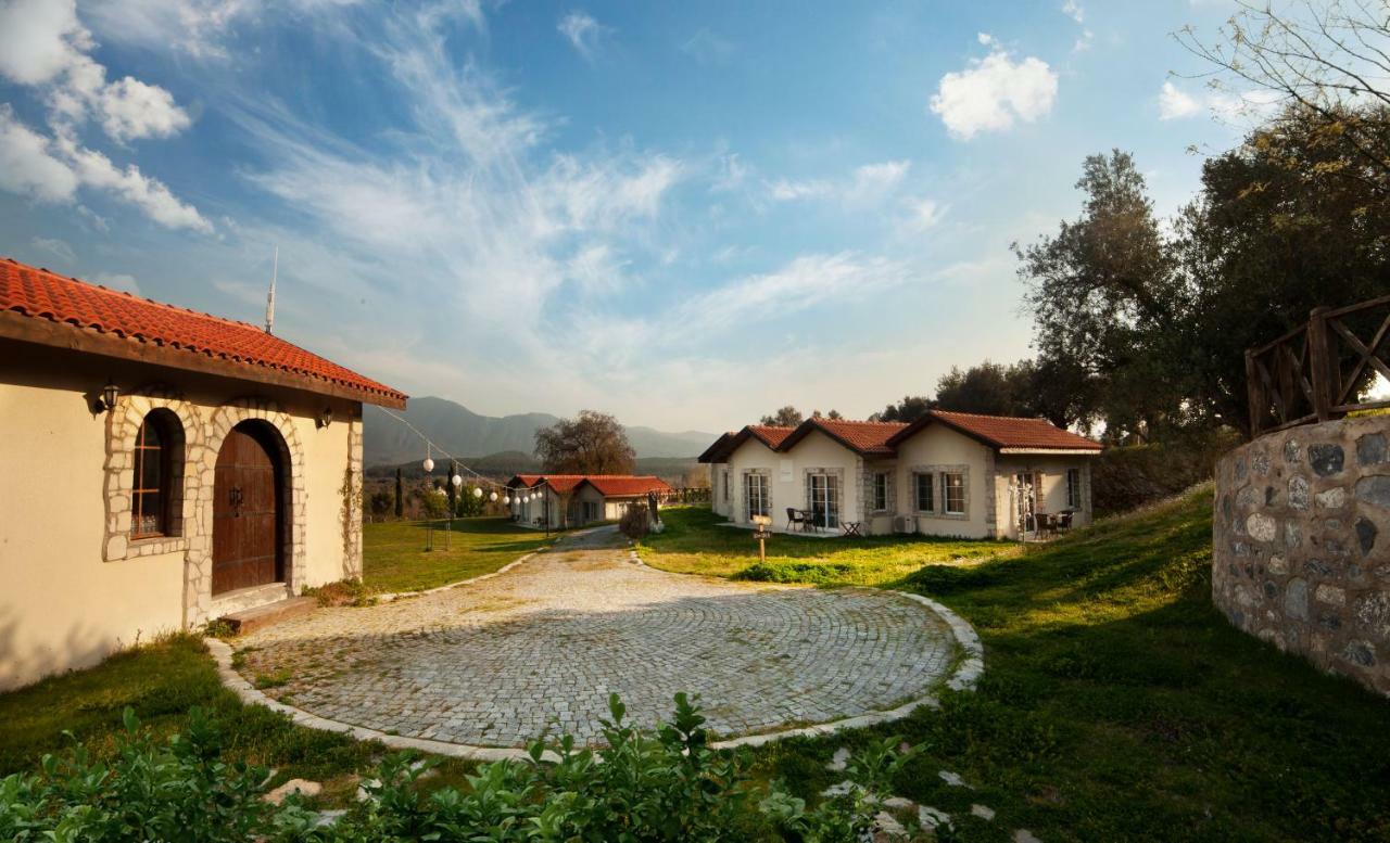 Vinifera Vineyards Гостевой дом Сельчук