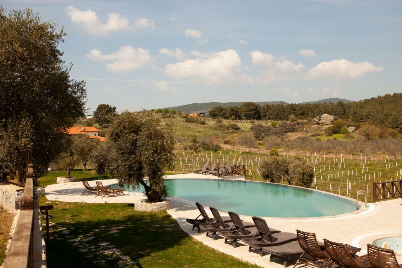 Vinifera Vineyards 3* Сельчук