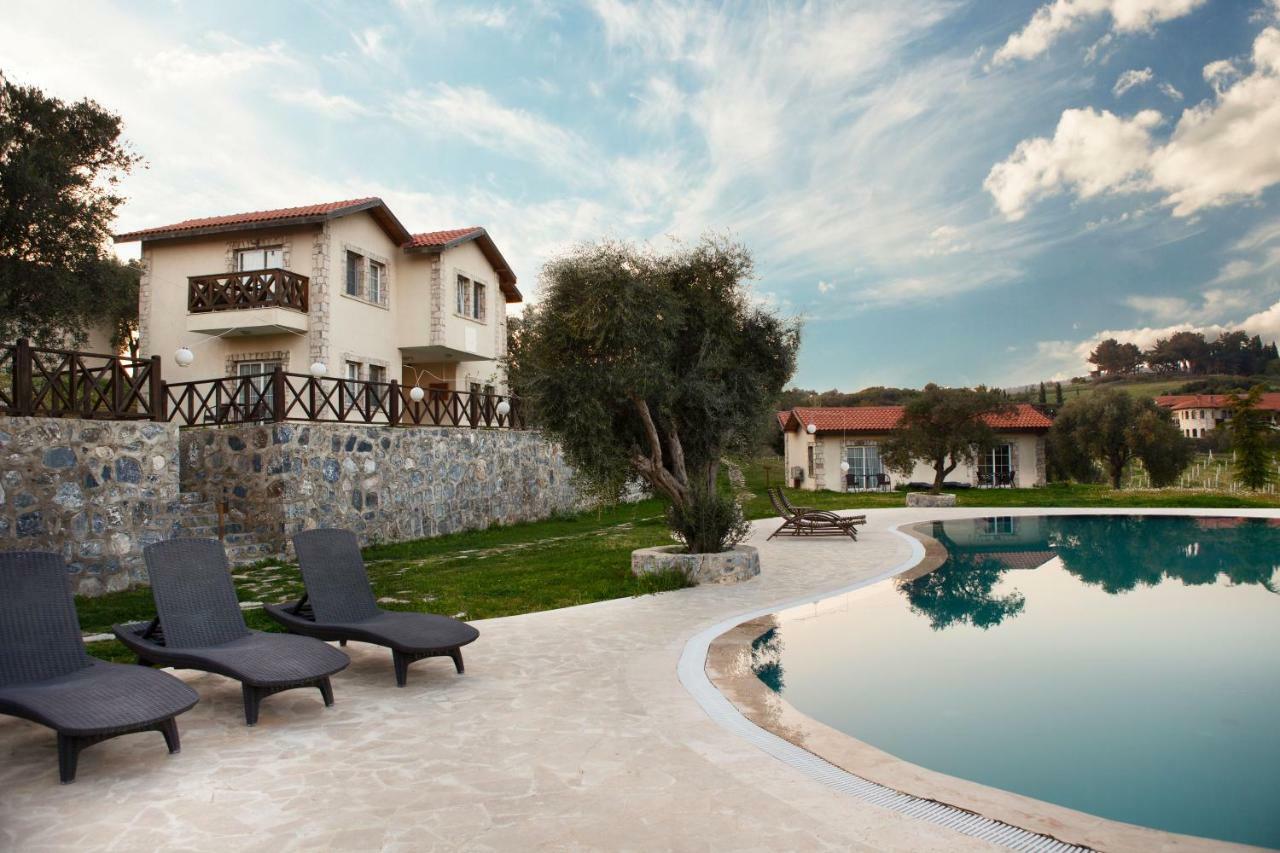 Гостевой дом Vinifera Vineyards 3*