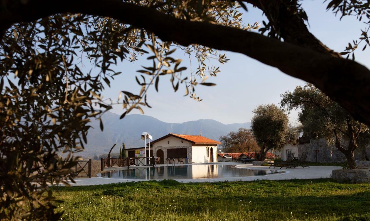 Гостевой дом Vinifera Vineyards 3*
