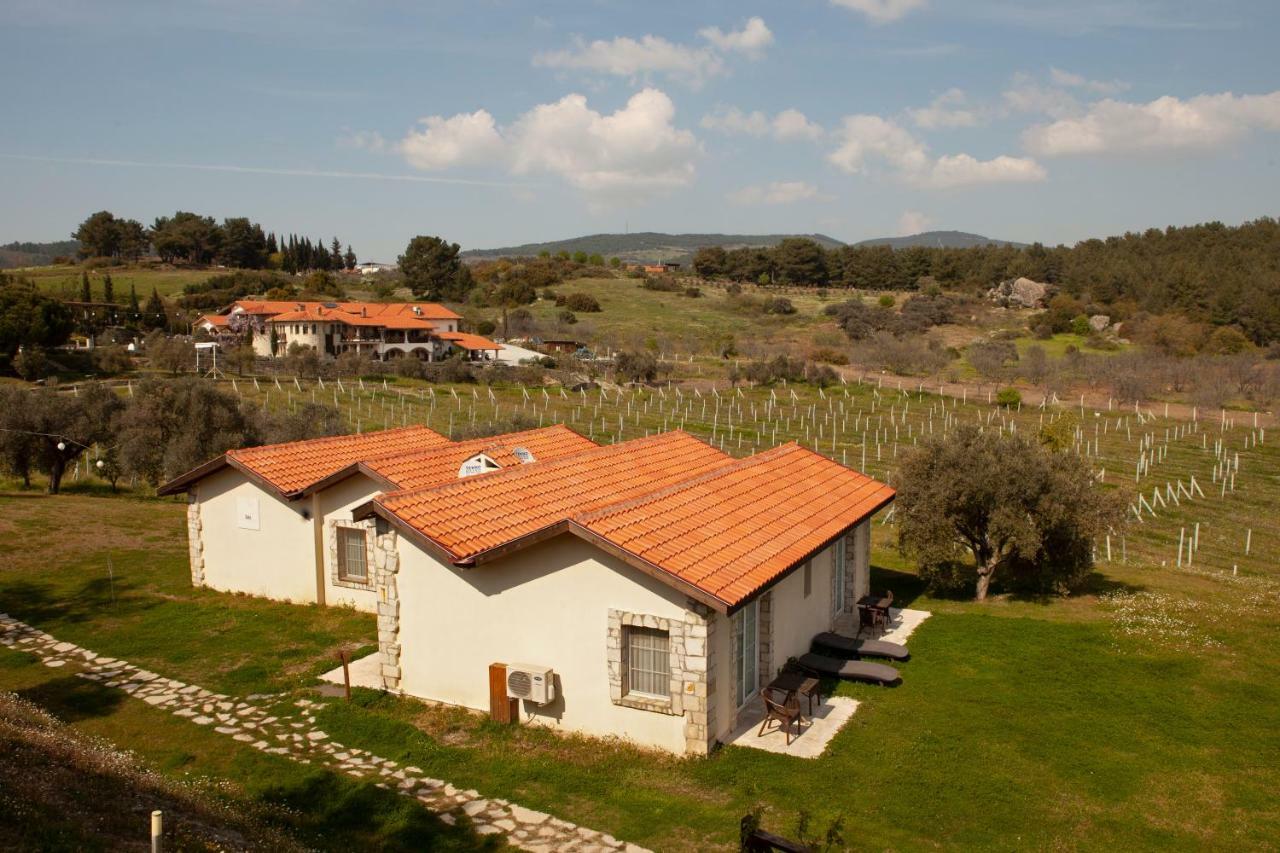 Vinifera Vineyards Гостевой дом 3*