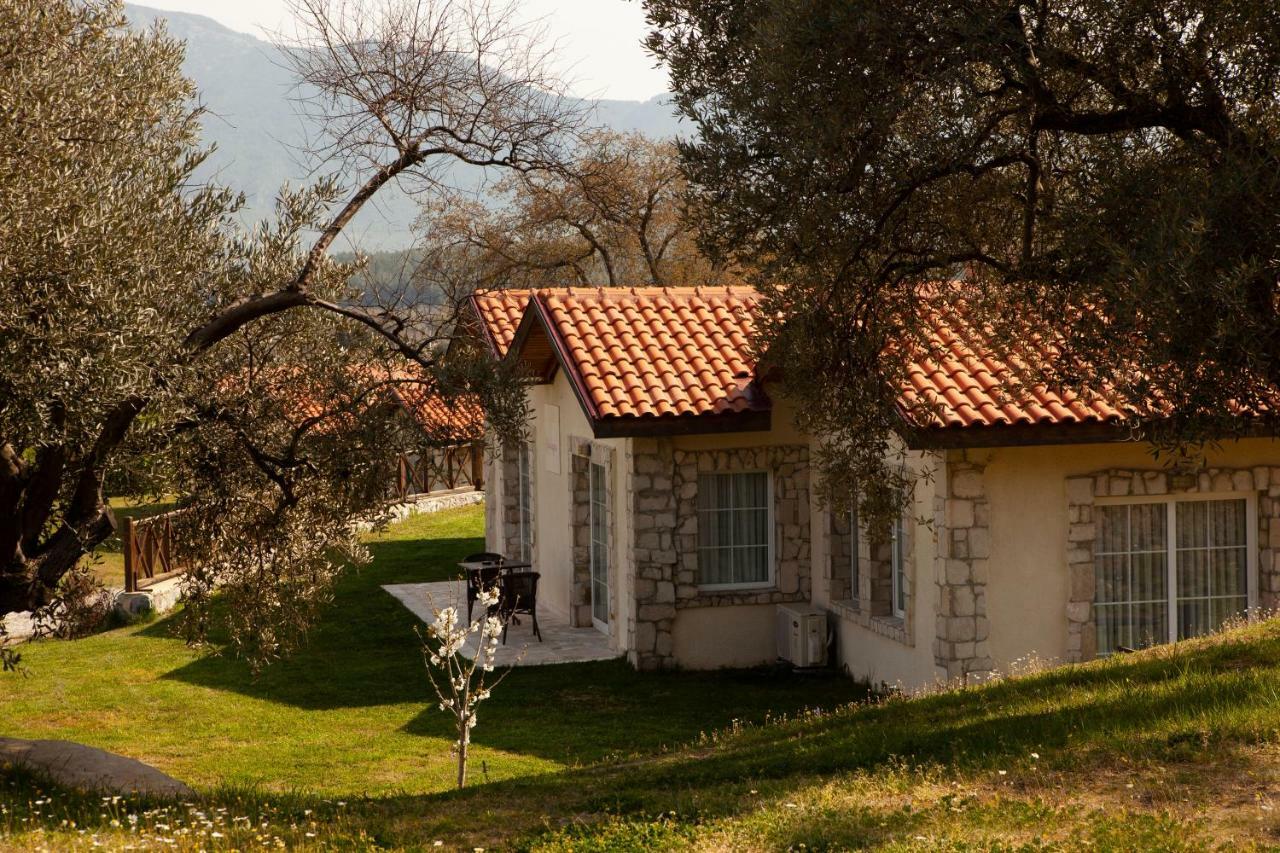 Vinifera Vineyards Сельчук